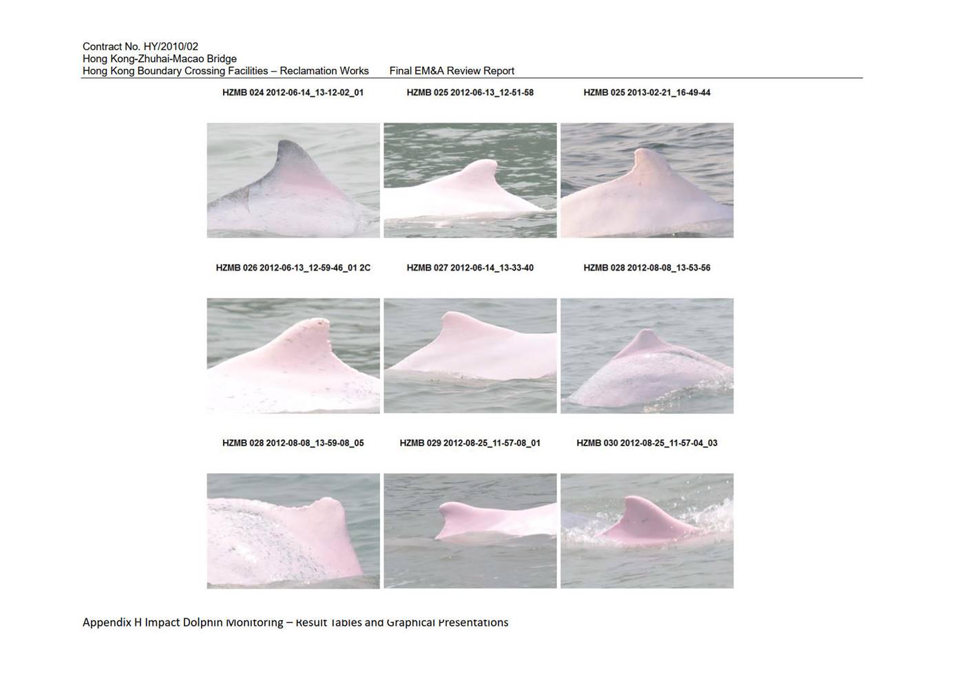 Graphical user interface, website

Description automatically generated