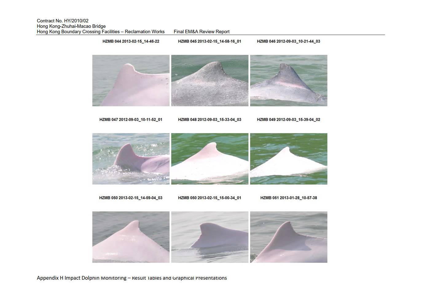 Graphical user interface, website

Description automatically generated
