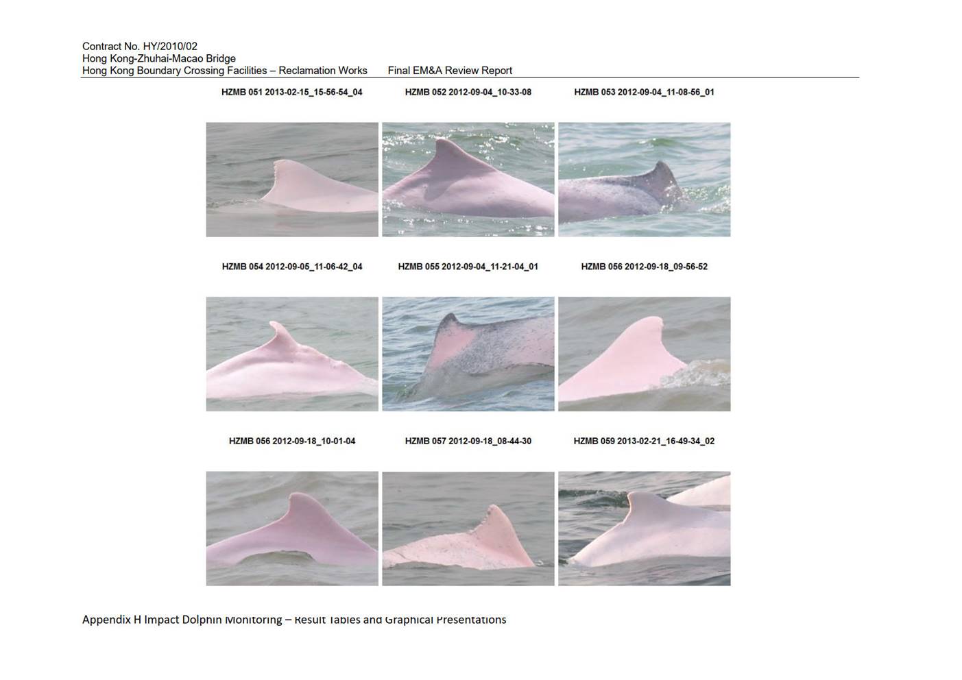 Graphical user interface, website

Description automatically generated