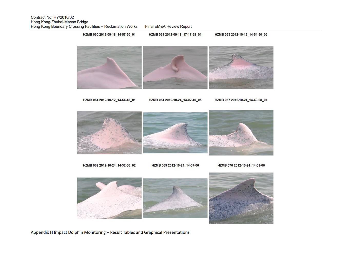 Graphical user interface, website

Description automatically generated