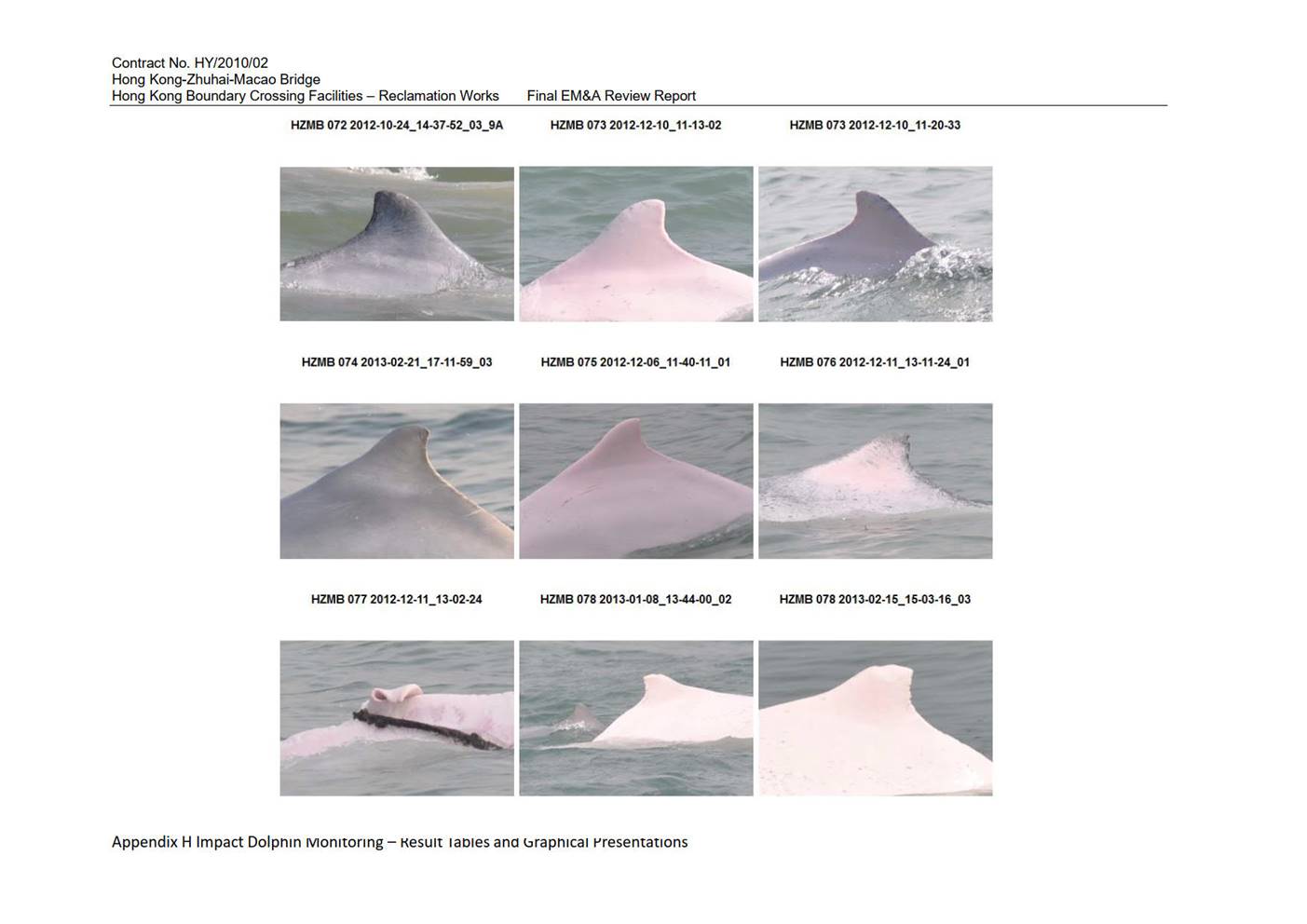 Graphical user interface, website

Description automatically generated