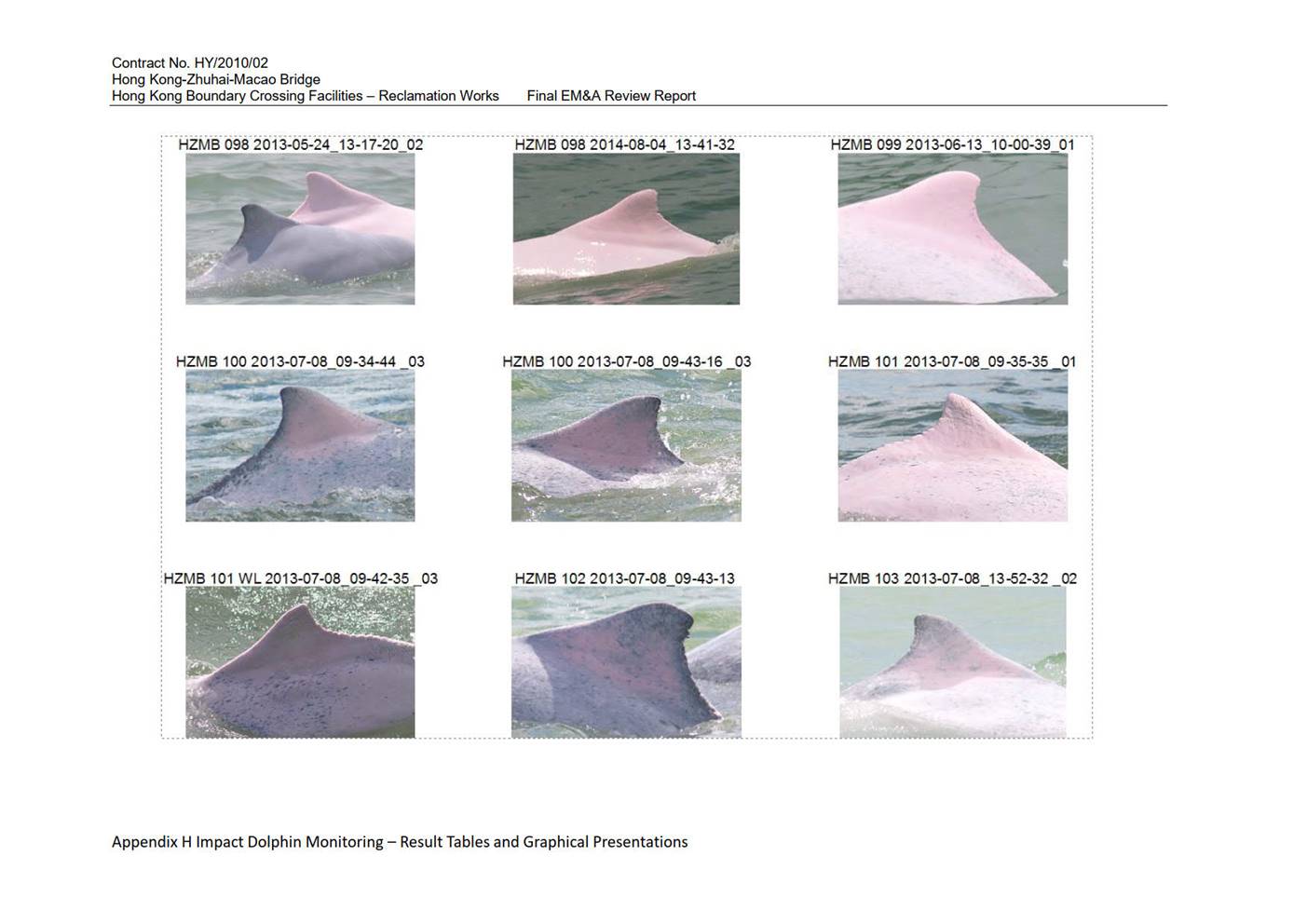 A picture containing graphical user interface

Description automatically generated
