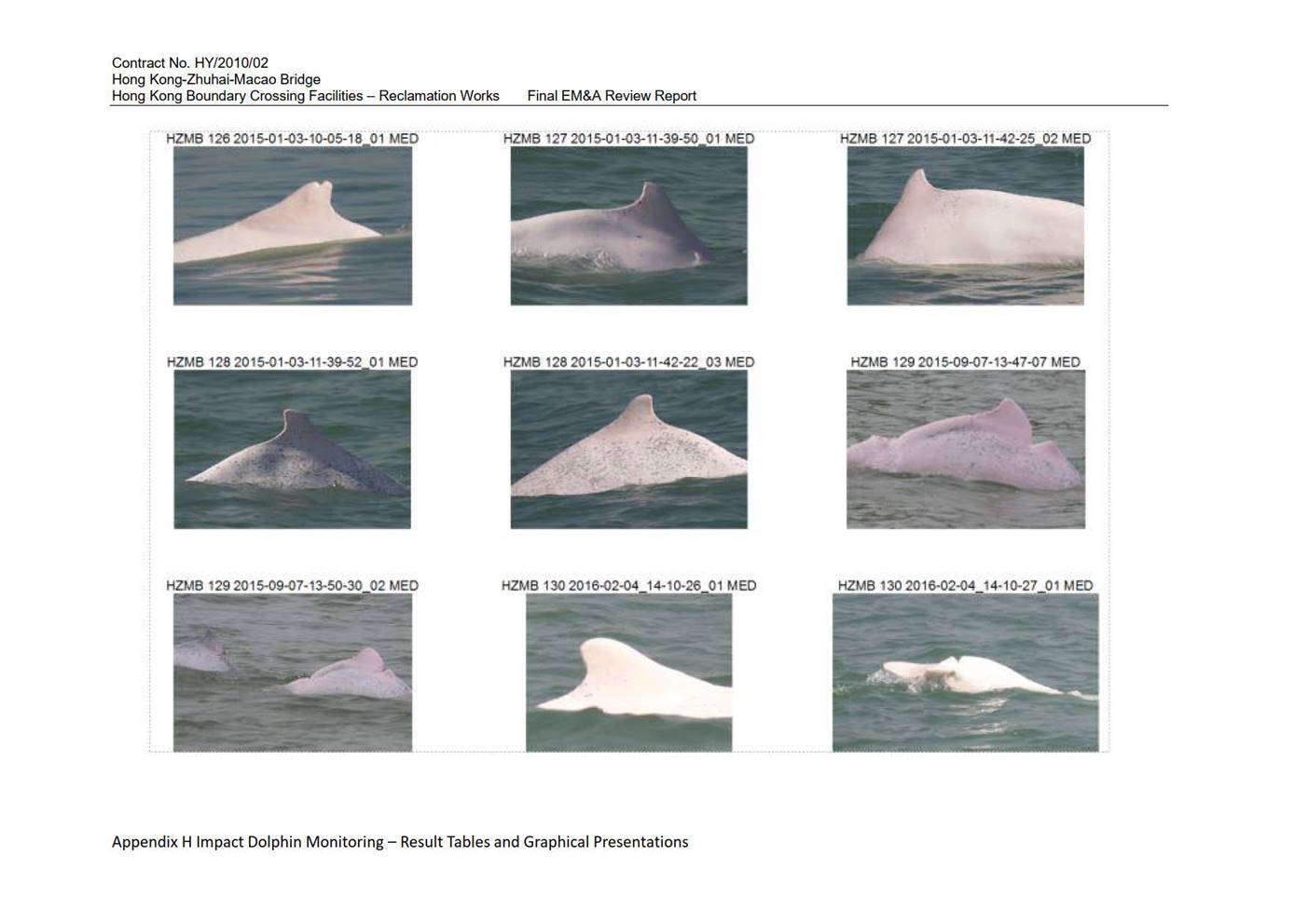 Graphical user interface

Description automatically generated