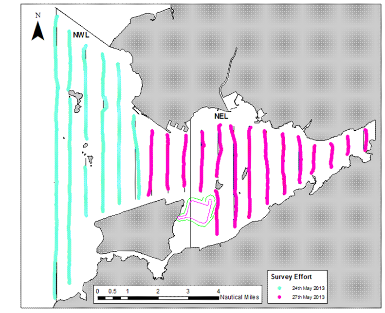 24 & 27 May Effort Map.png