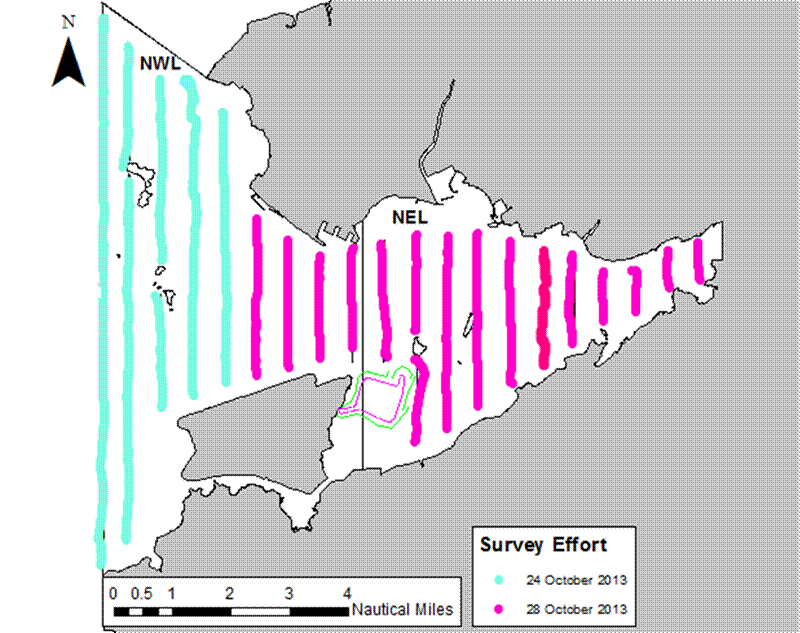 Survey Effort 24th and 28th October 2013.png