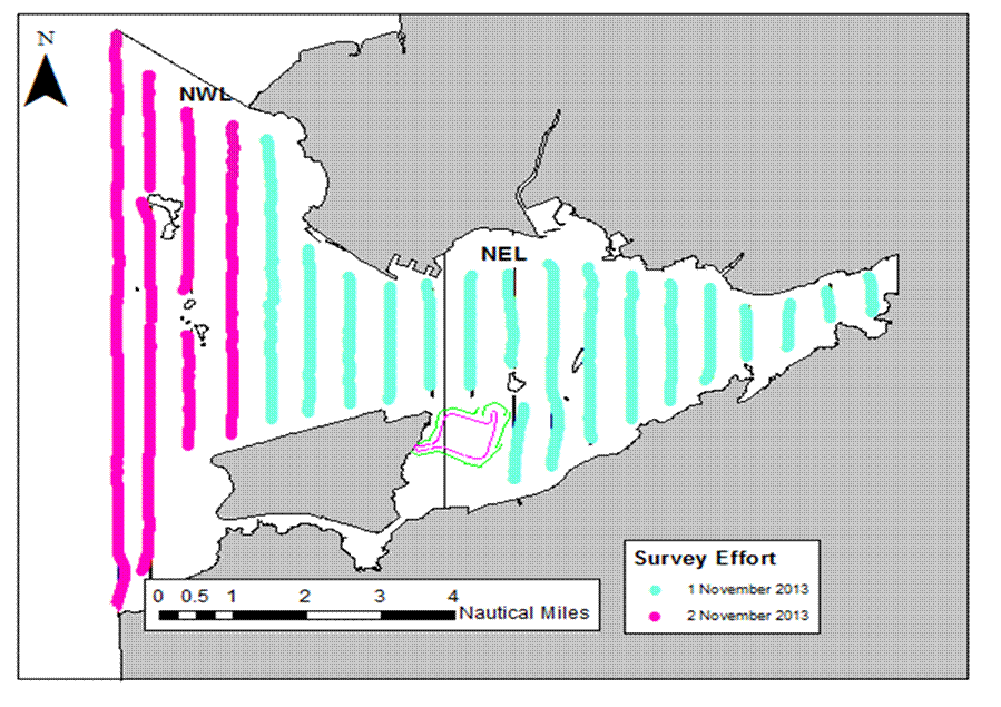 Survey Effort 1 and 2 Nov 2013.png