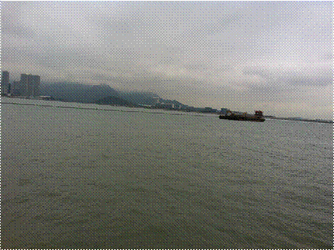 IMG_5976.jpg