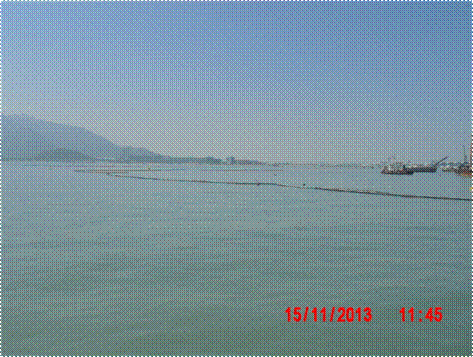 CIMG6194.JPG