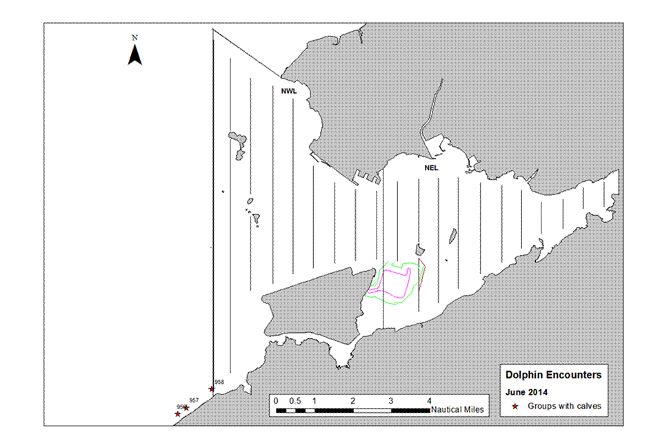 Calf Map.png