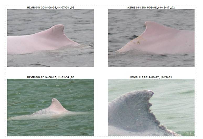 PID contact sheet June 2014.png