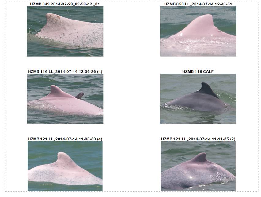 PID contact sheet July 2014.png
