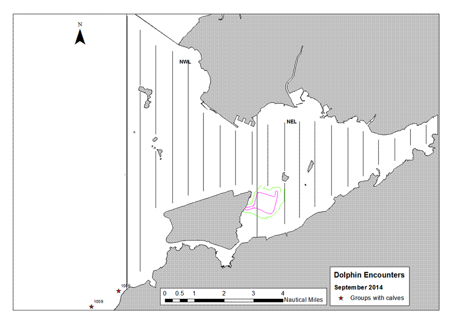 Calf map.png
