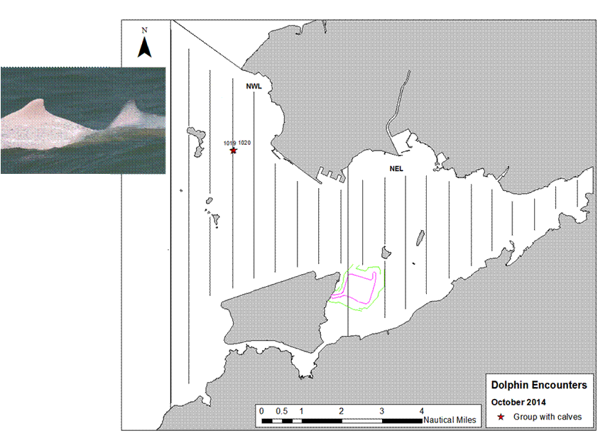 Calves map Oct 2014.png