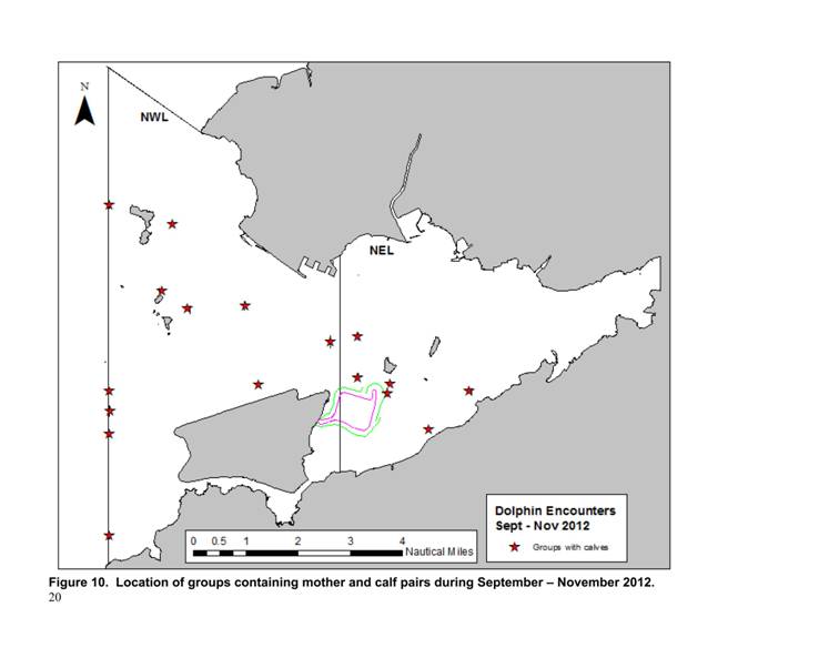App_H Dolphin monitoring.pdf_23.jpg