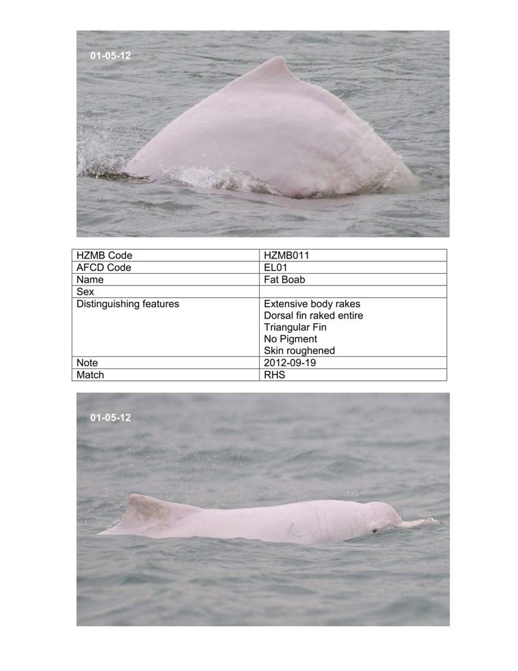 App_H Dolphin monitoring.pdf_38.jpg