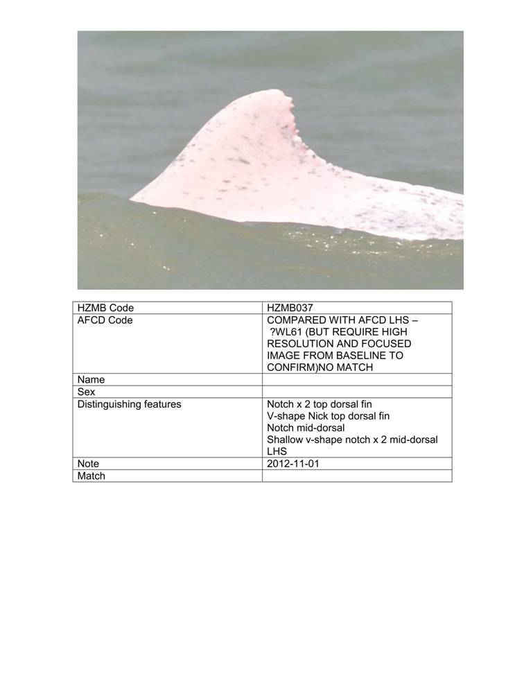App_H Dolphin monitoring.pdf_44.jpg