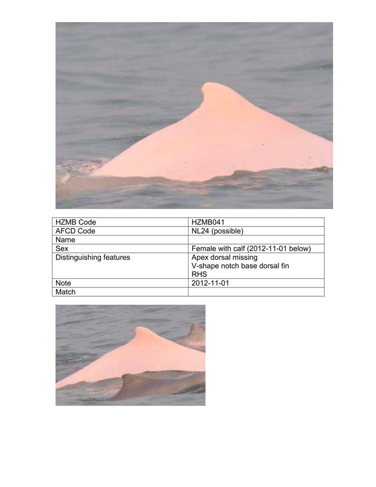 App_H Dolphin monitoring.pdf_47.jpg