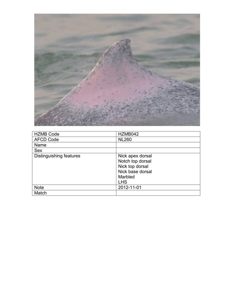 App_H Dolphin monitoring.pdf_48.jpg