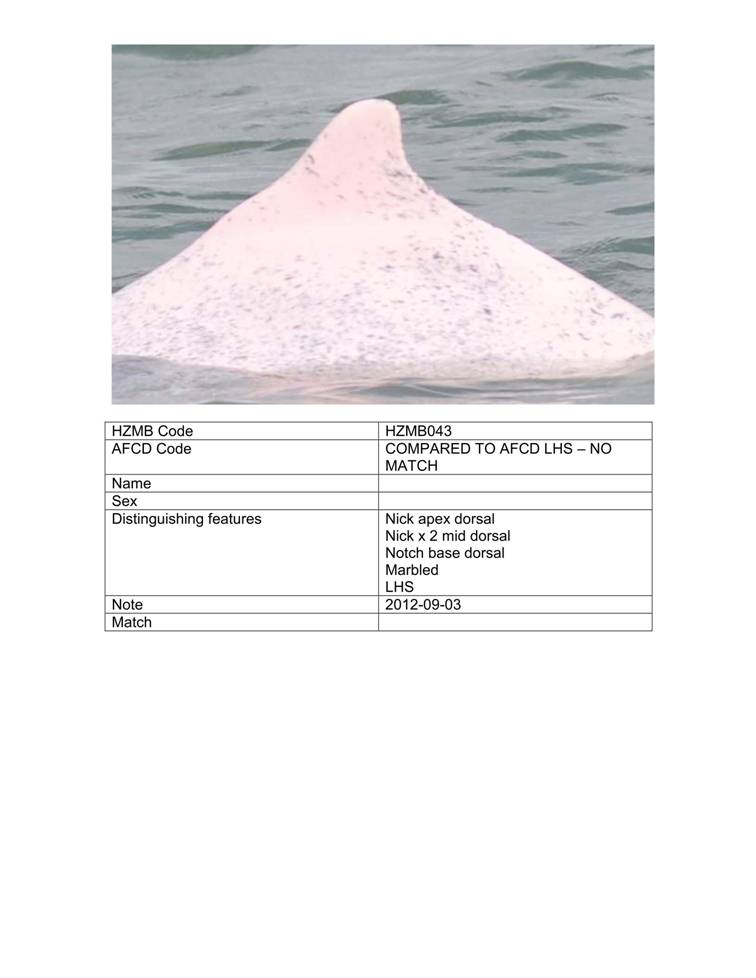 App_H Dolphin monitoring.pdf_49.jpg
