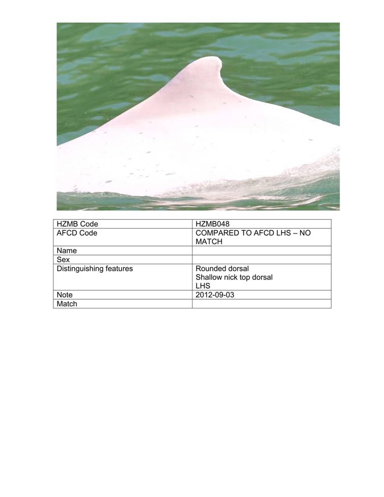 App_H Dolphin monitoring.pdf_54.jpg