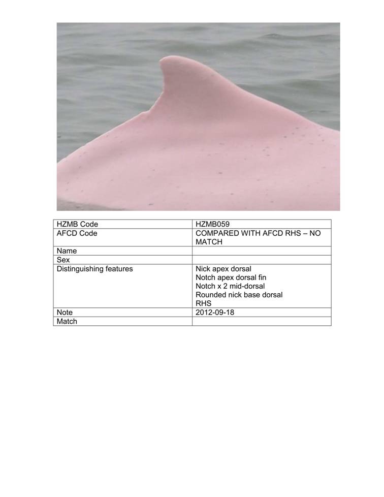 App_H Dolphin monitoring.pdf_64.jpg