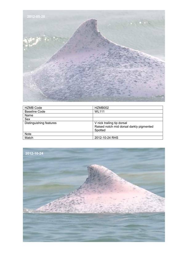 App H Dolphin Monitoring.pdf_042.jpg