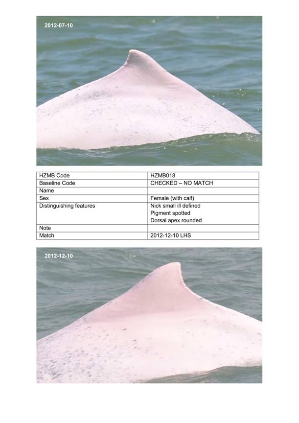 App H Dolphin Monitoring.pdf_057.jpg