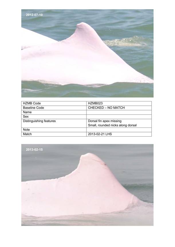 App H Dolphin Monitoring.pdf_062.jpg