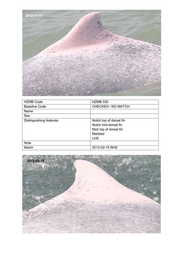 App H Dolphin Monitoring.pdf_070.jpg