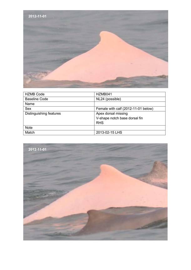 App H Dolphin Monitoring.pdf_074.jpg