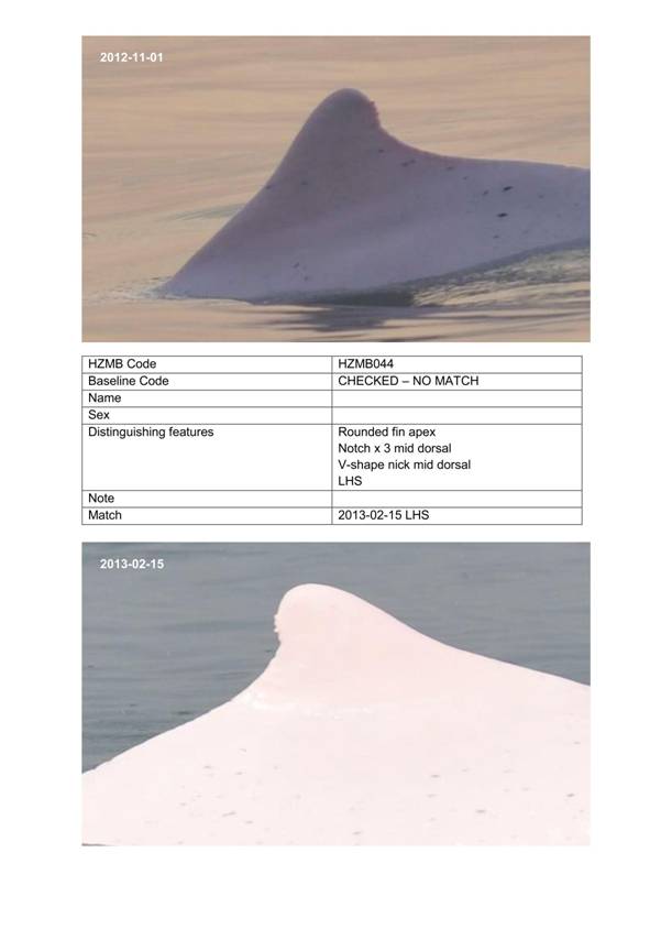 App H Dolphin Monitoring.pdf_076.jpg