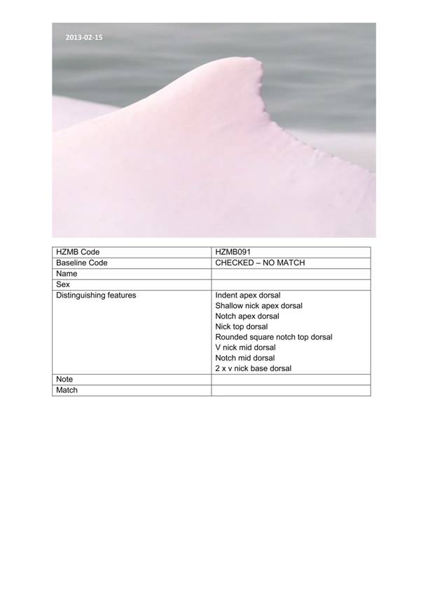 App H Dolphin Monitoring.pdf_113.jpg
