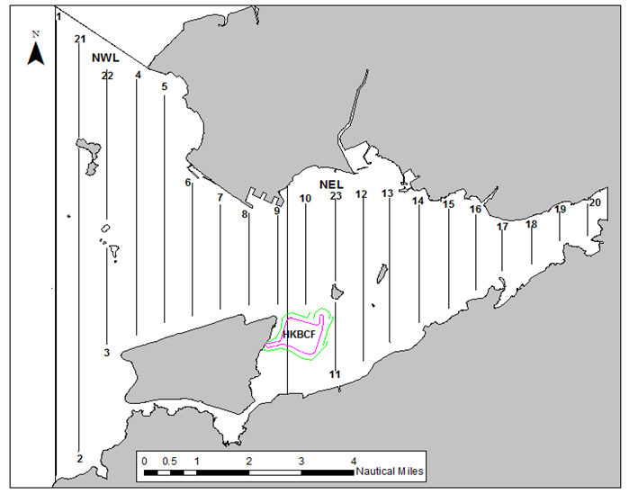 New Transect Lines