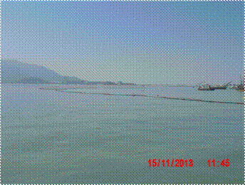 CIMG6194.JPG