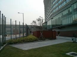 IMG-20130419-WA0022